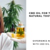 CBD Oil for Tooth Pain